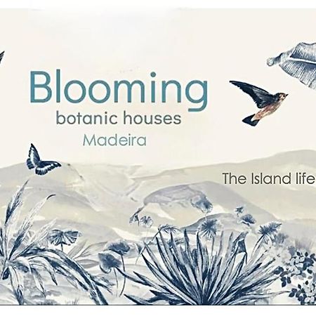 Blooming Botanic Houses Estreito Da Calheta Bagian luar foto