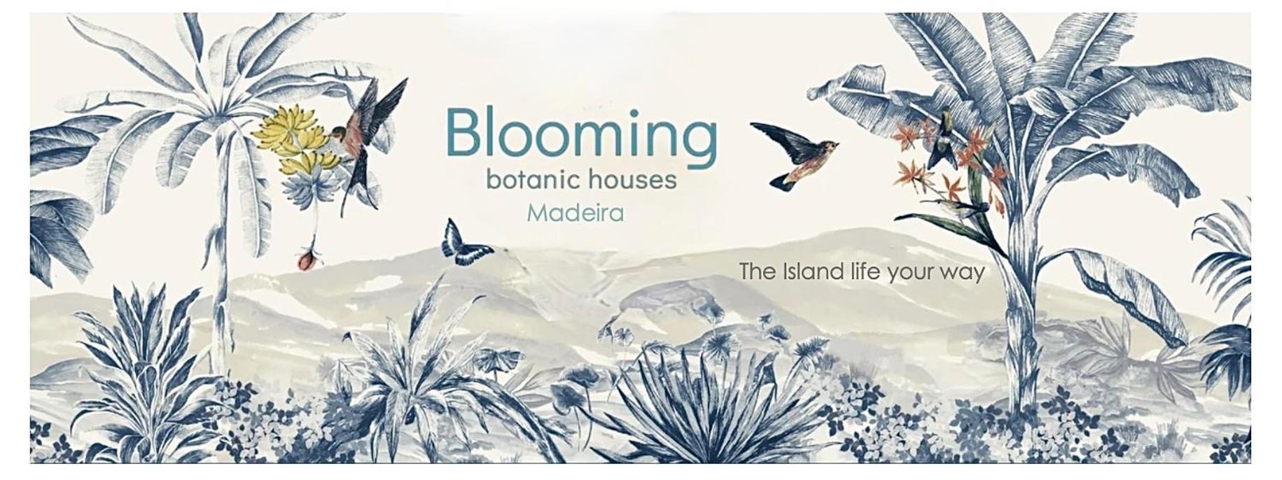 Blooming Botanic Houses Estreito Da Calheta Bagian luar foto