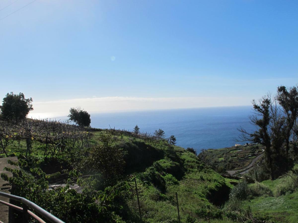 Blooming Botanic Houses Estreito Da Calheta Bagian luar foto