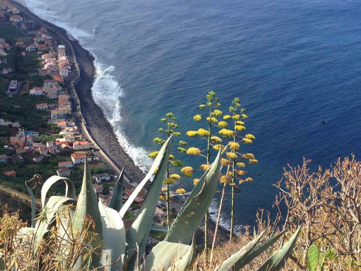 Blooming Botanic Houses Estreito Da Calheta Bagian luar foto