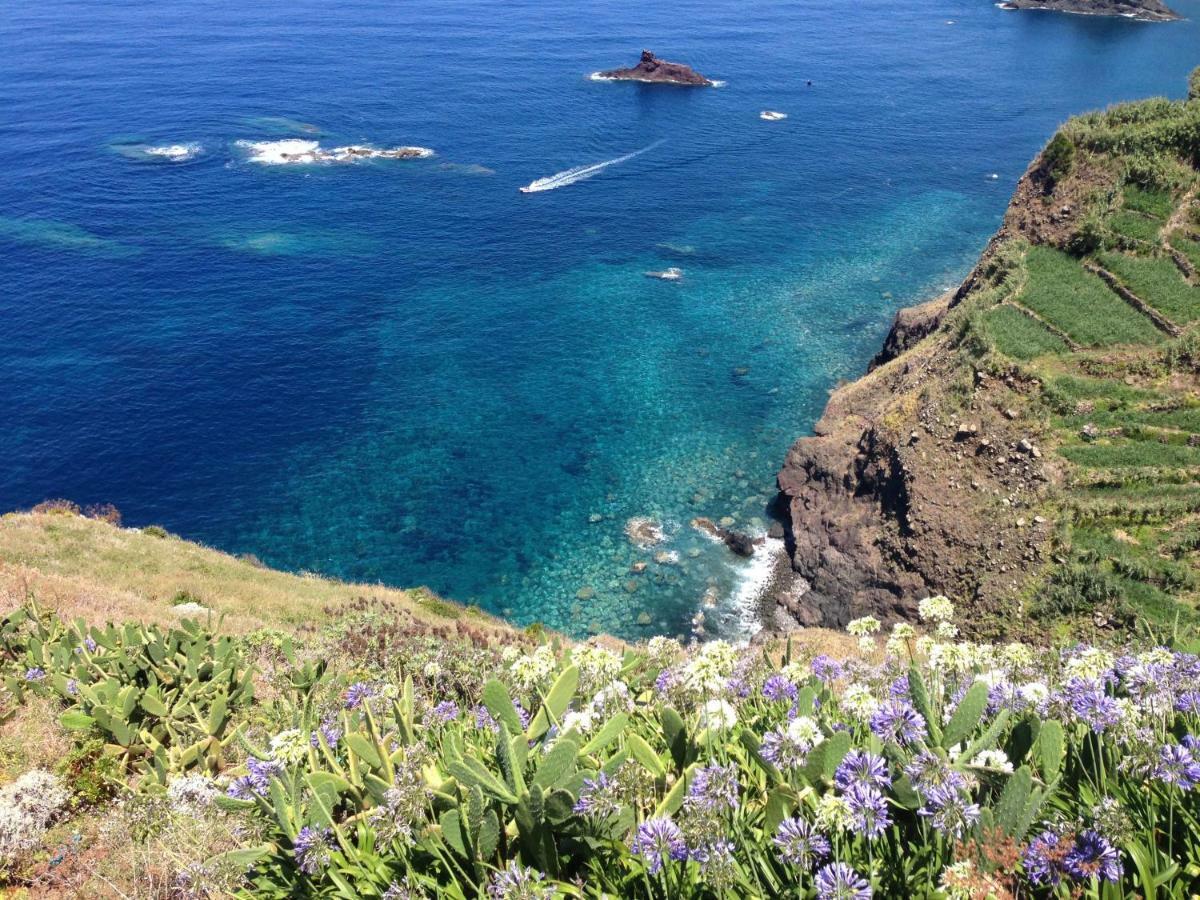 Blooming Botanic Houses Estreito Da Calheta Bagian luar foto