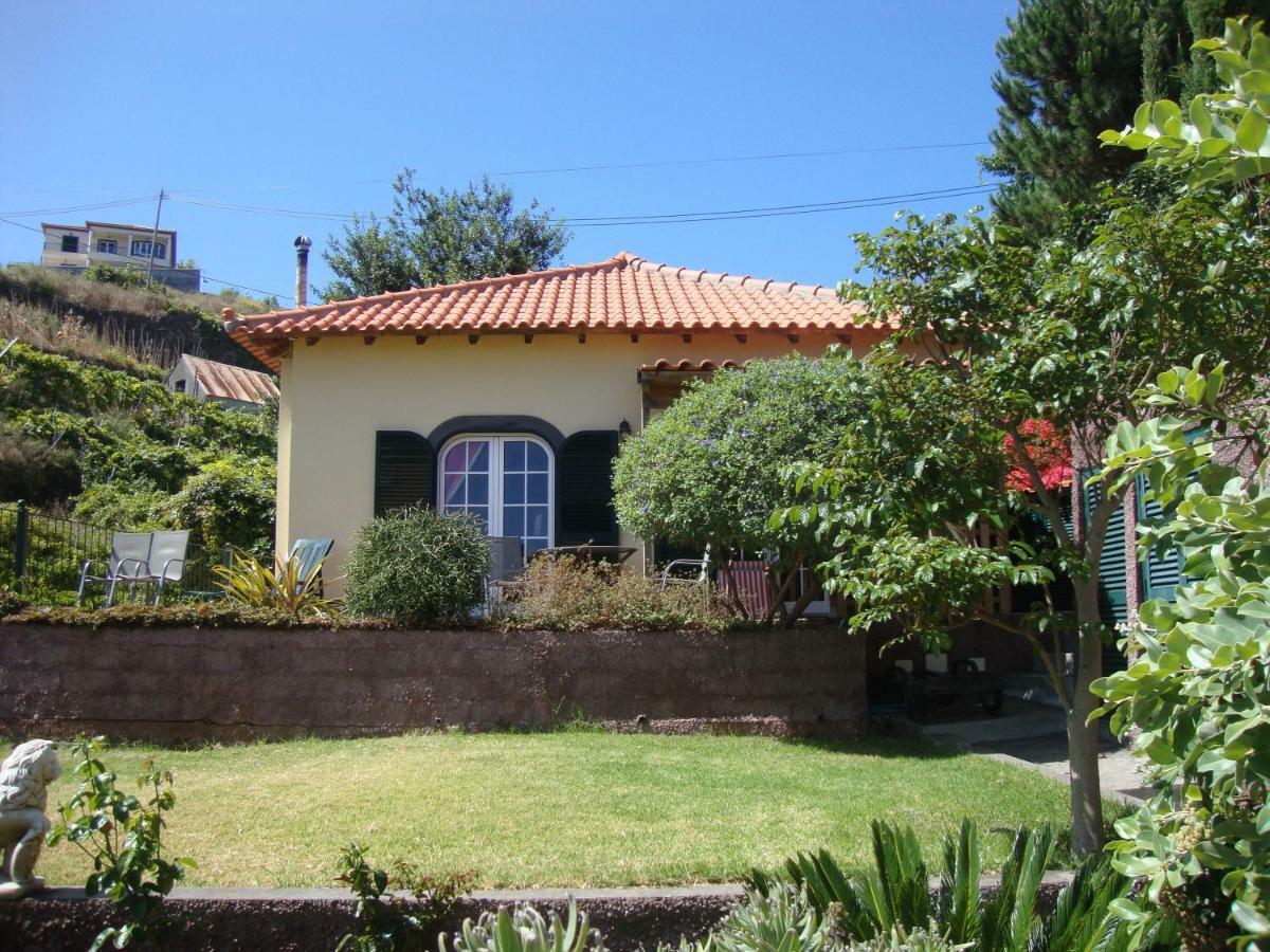 Blooming Botanic Houses Estreito Da Calheta Bagian luar foto