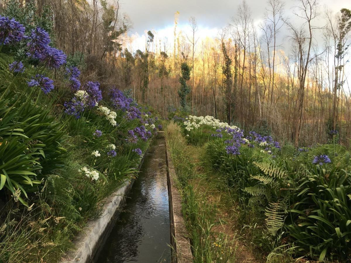 Blooming Botanic Houses Estreito Da Calheta Bagian luar foto